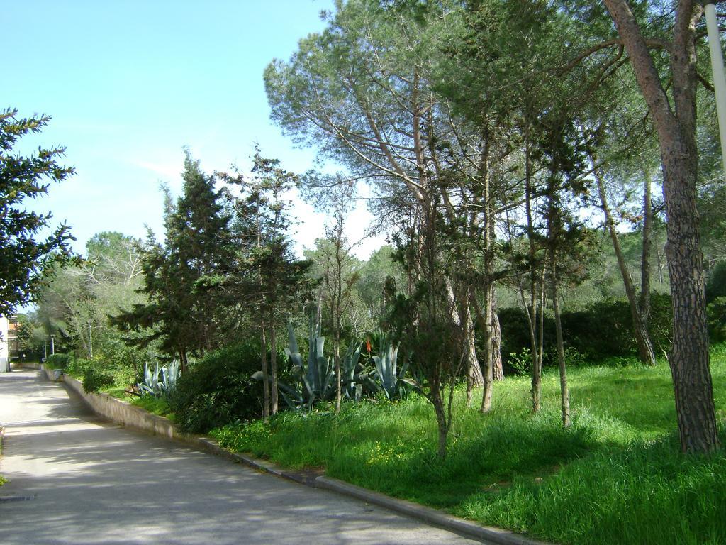 Maraviglios