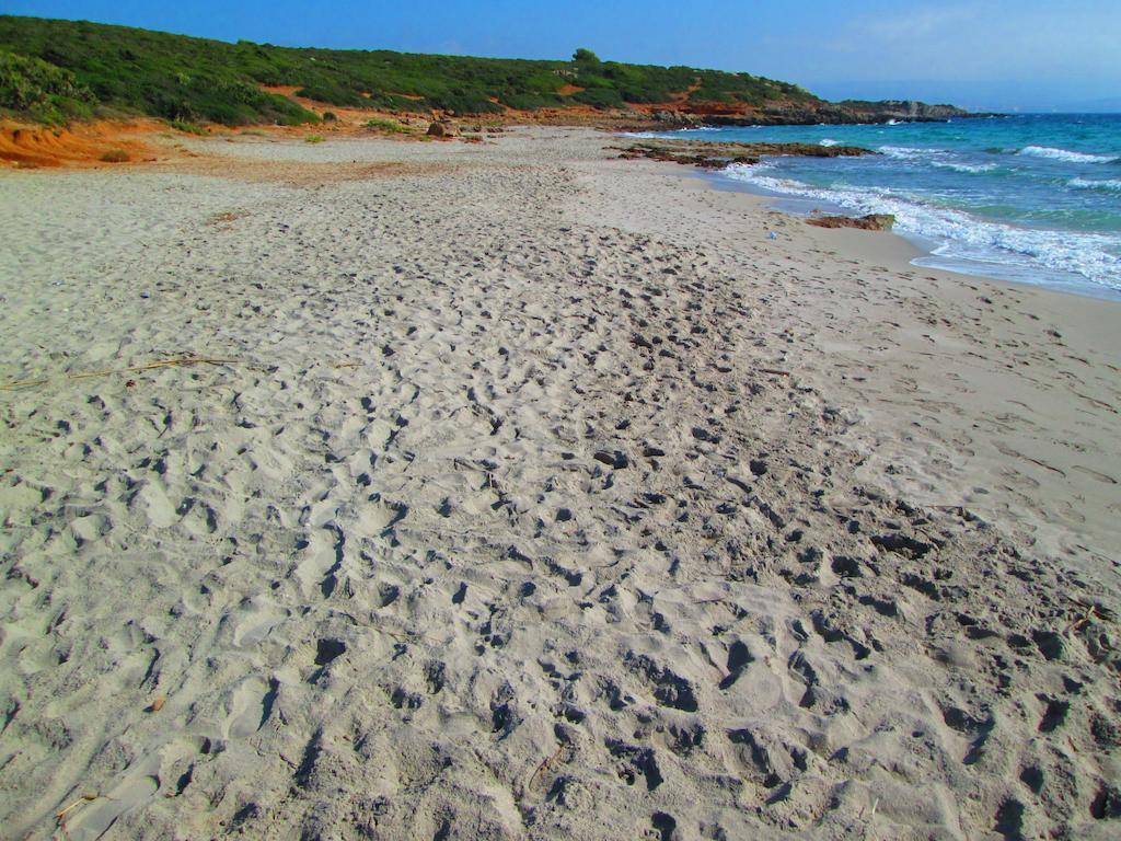 Maraviglios Alghero